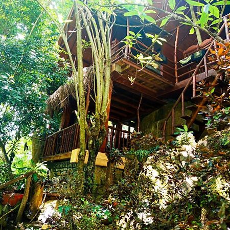 Jungle Face Inn Элла Экстерьер фото