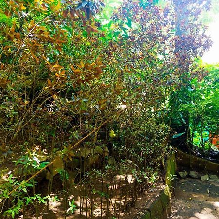 Jungle Face Inn Элла Экстерьер фото