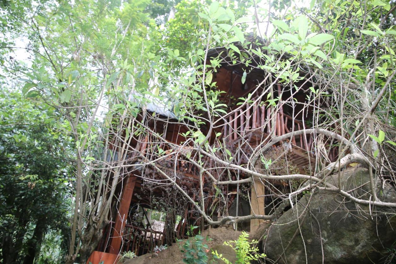 Jungle Face Inn Элла Экстерьер фото