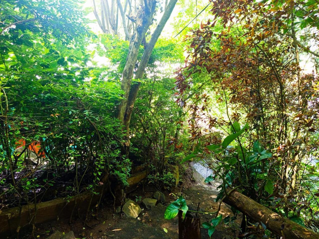 Jungle Face Inn Элла Экстерьер фото