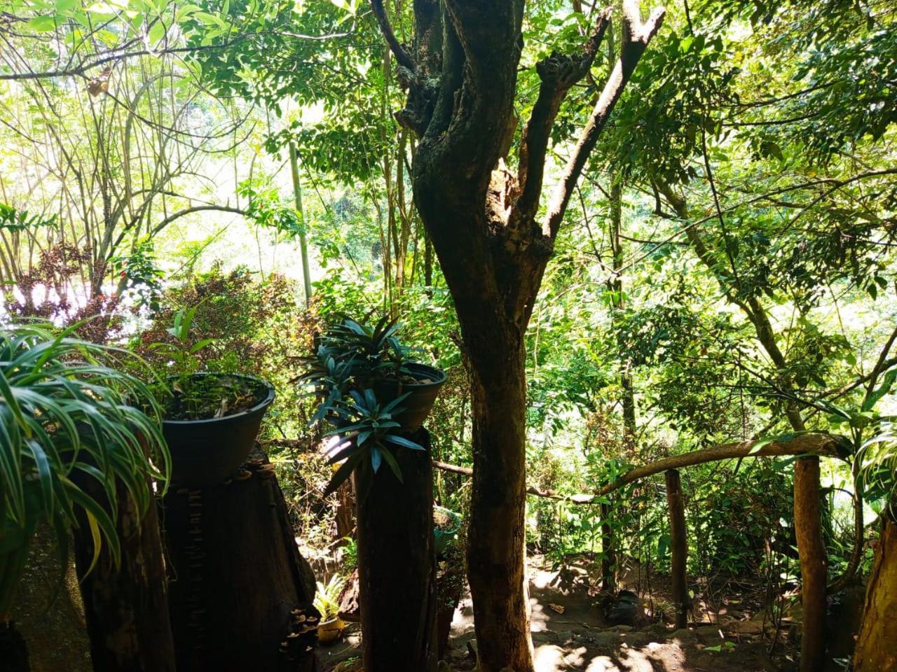 Jungle Face Inn Элла Экстерьер фото