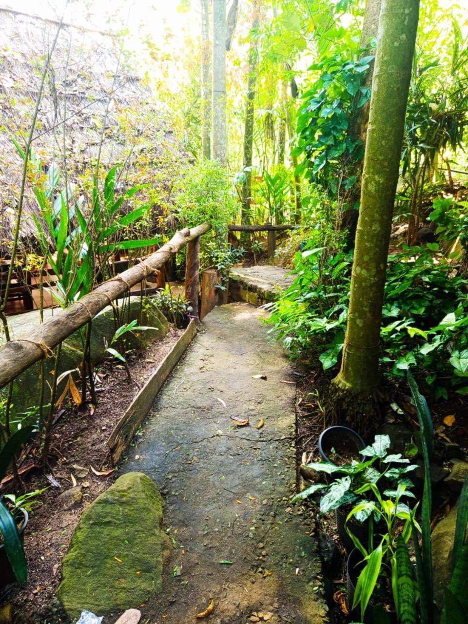 Jungle Face Inn Элла Экстерьер фото