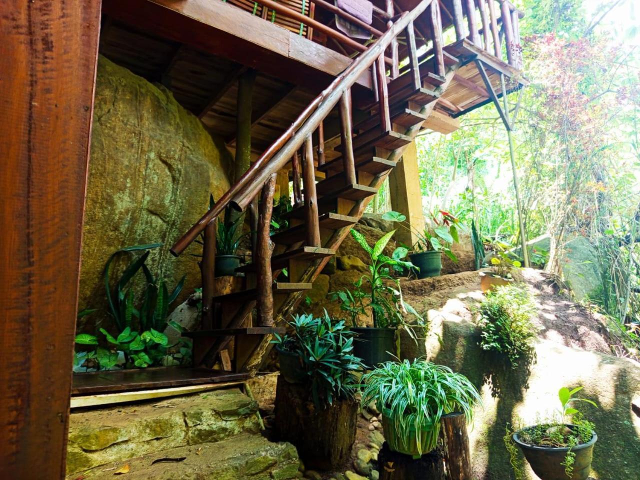 Jungle Face Inn Элла Экстерьер фото