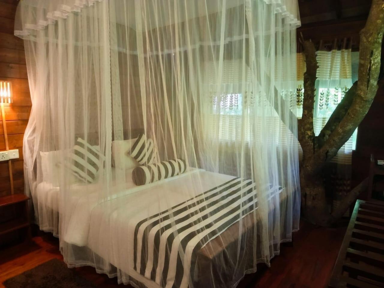 Jungle Face Inn Элла Экстерьер фото