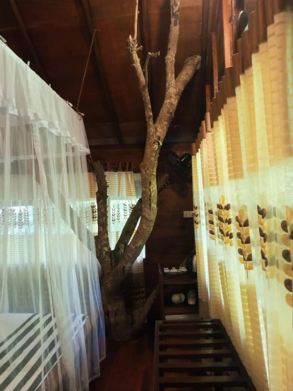 Jungle Face Inn Элла Экстерьер фото