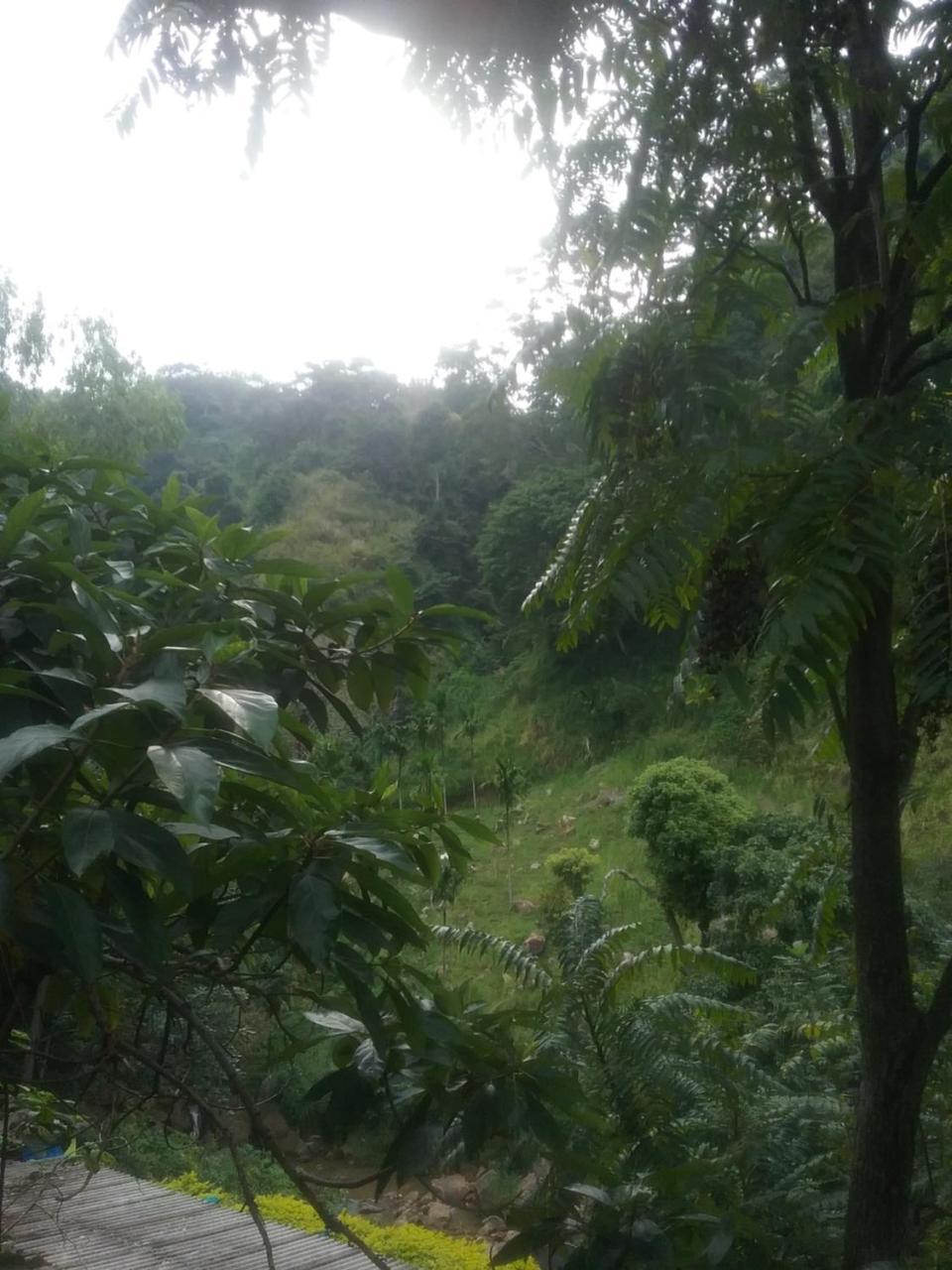 Jungle Face Inn Элла Экстерьер фото