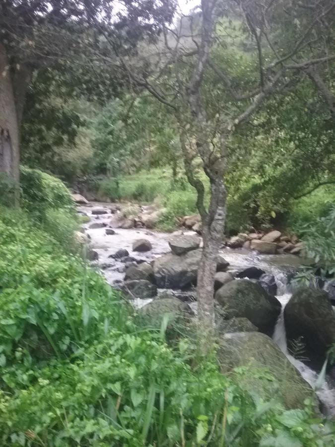 Jungle Face Inn Элла Экстерьер фото
